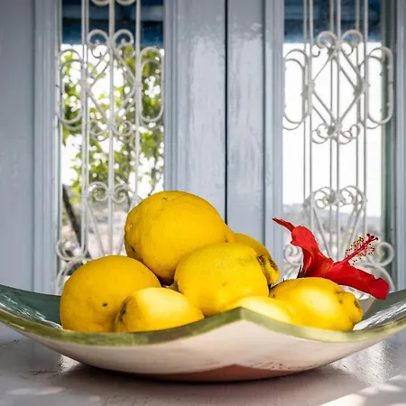 The Lemon Tree House - In The Heart Of * Skopelos
