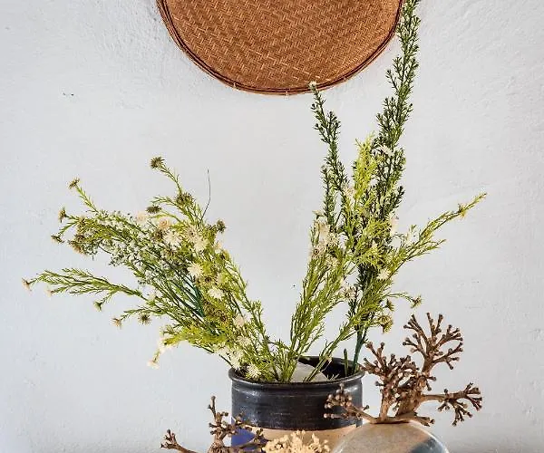 Holiday home The Lemon Tree House *